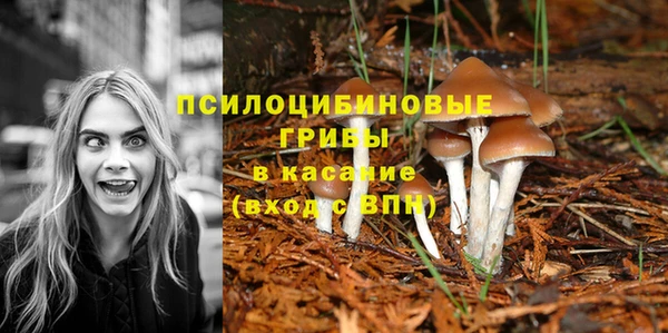 эйфоретик Заволжск