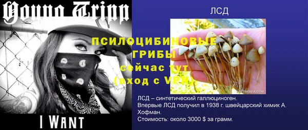 эйфоретик Заволжск