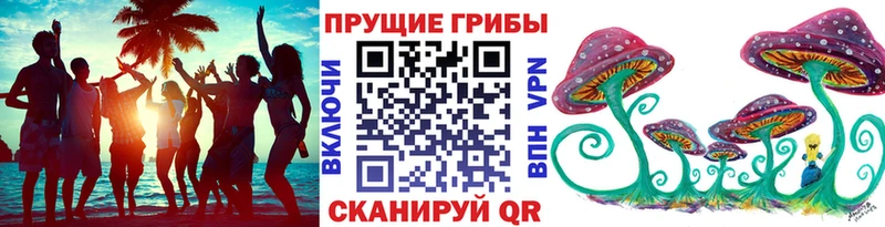 Купить  Макарьев  Псилоцибиновые грибы Cubensis 